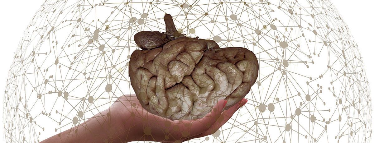 Neurociencias